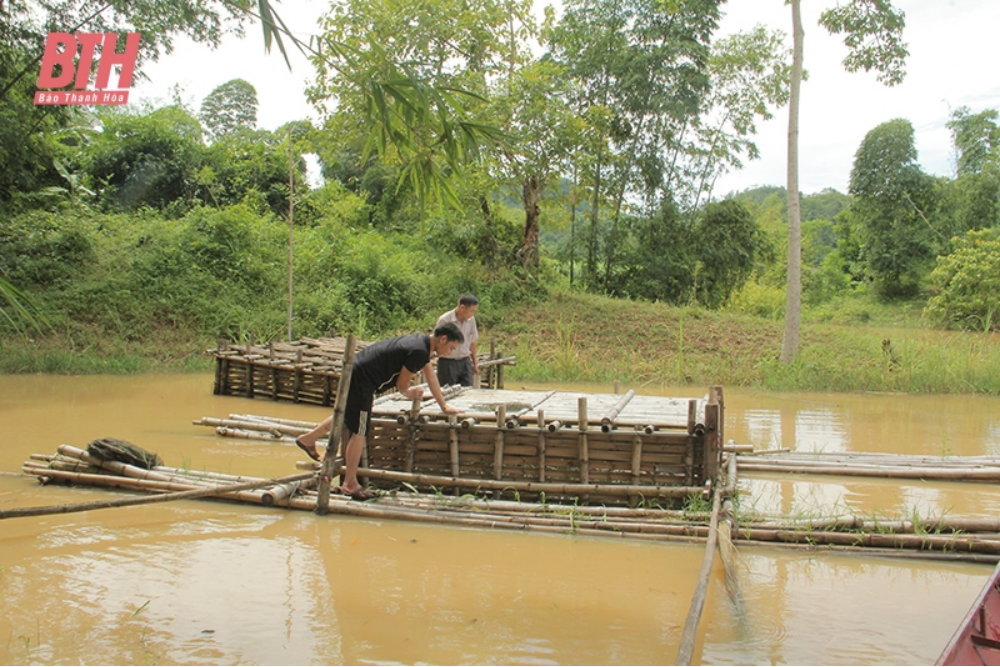 Theo ảnh " Người dân xã Hạ Trung (Bá Thước) gia cố lại lồng bè nuôi cá trước mùa mưa bão."